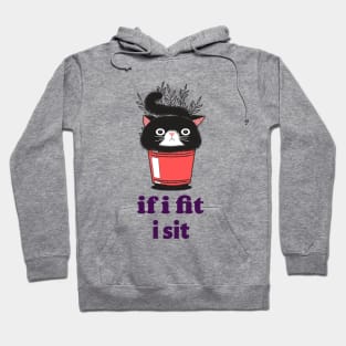 If I Fit I Sit Cat Funny Quote Hoodie